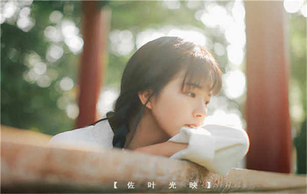 西工胎儿性别鉴定需要多少钱(胎儿性别鉴定的方法)